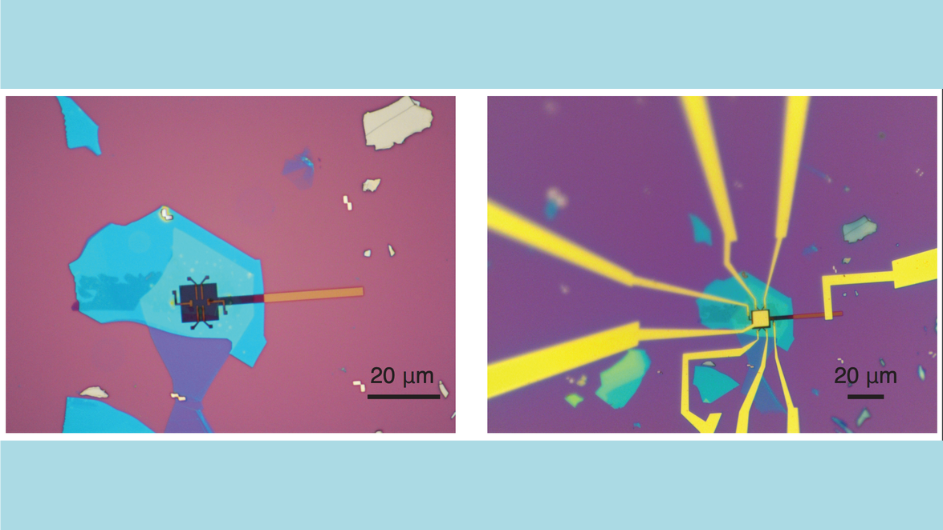 Coupled ferroelectricity and superconductivity in bilayer Td-MoTe2