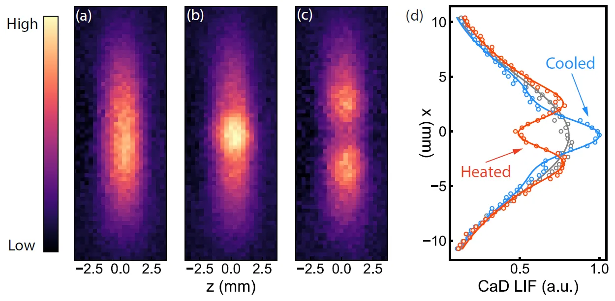 laser cooling of a fermionic molecule, calcium monodeuteride (CaD).
