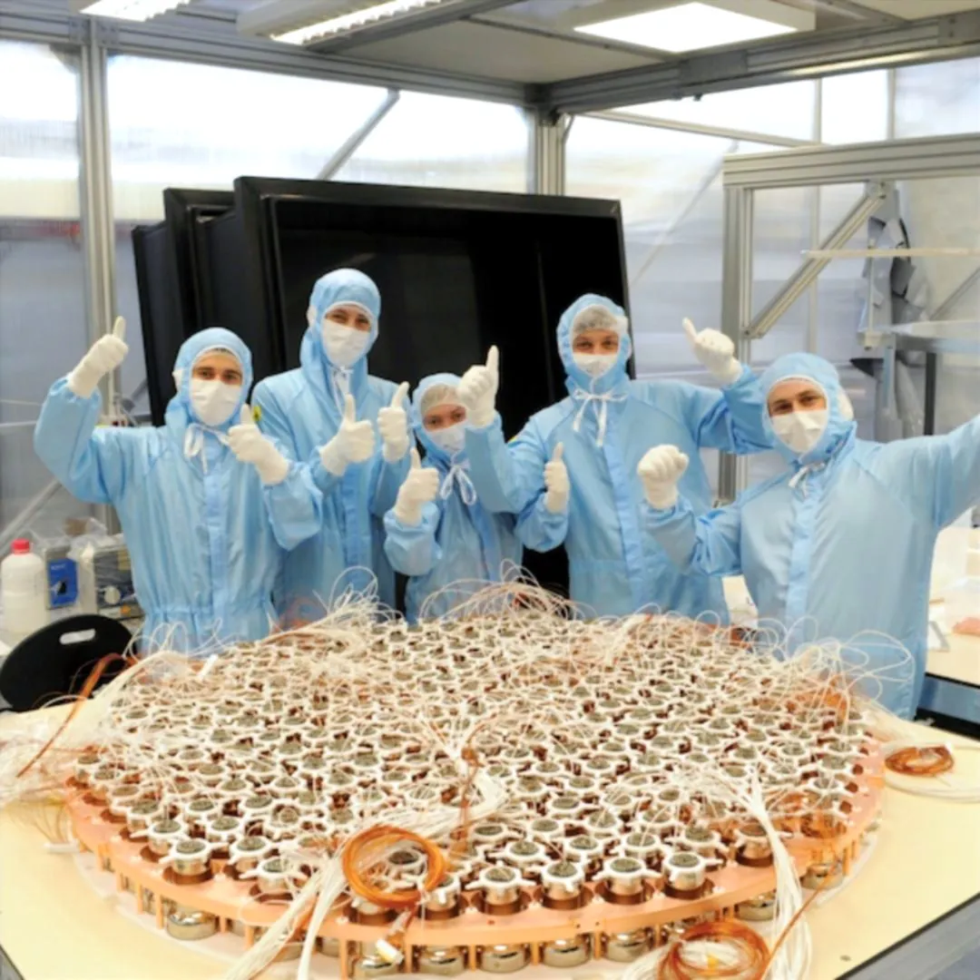 PMT array assembly