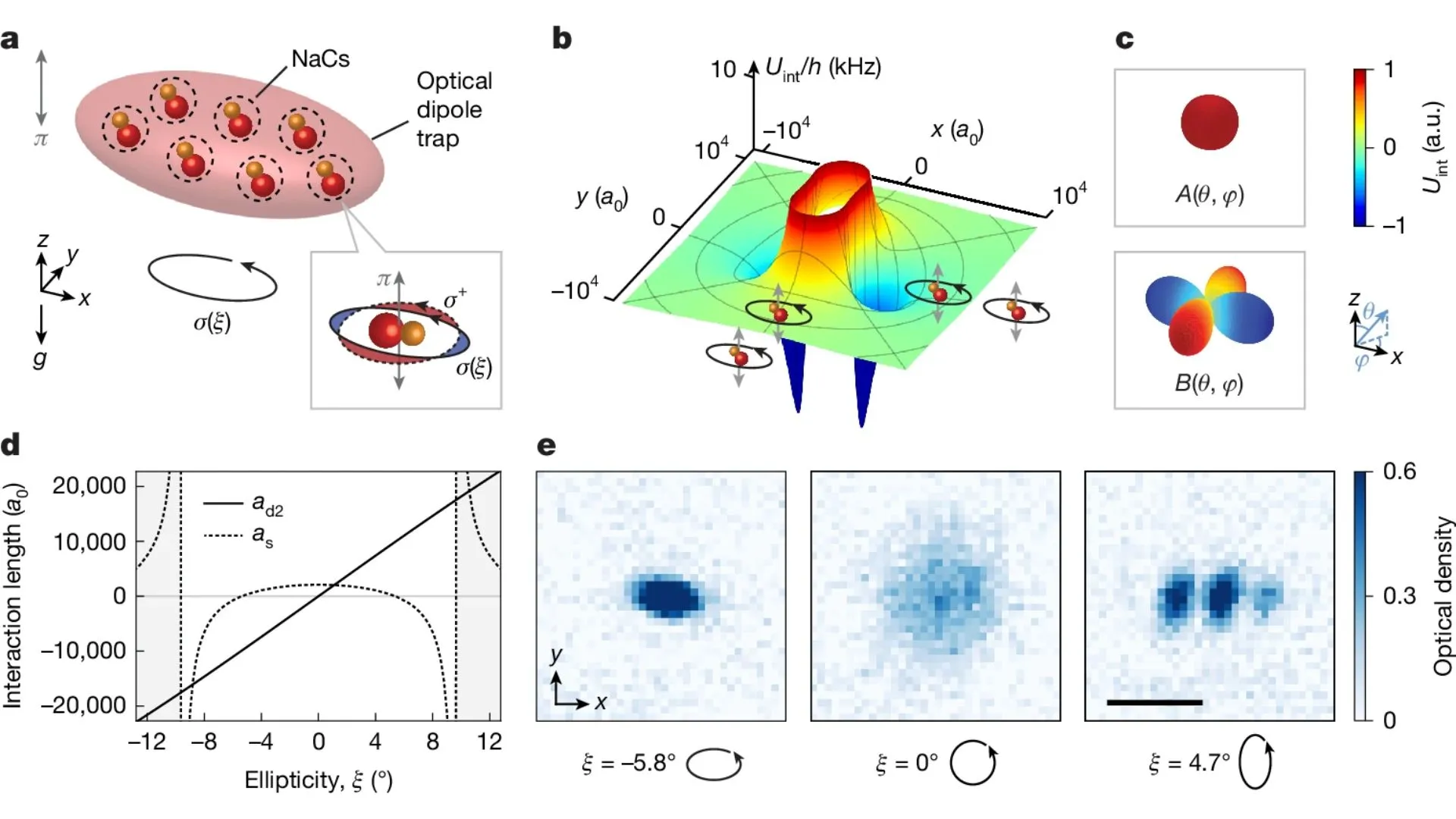 Credit: Will Lab. Droplet formation in an ultracold gas of NaCs molecules with non-axially symmetric dipolar interactions.